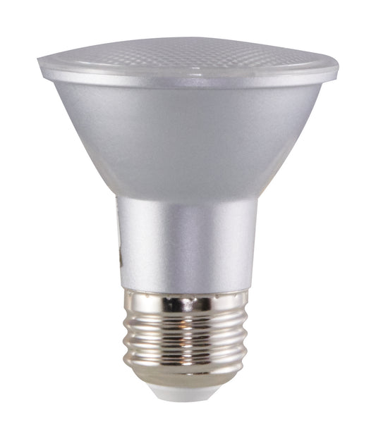 (4-Pack) Light Bulb in Clear