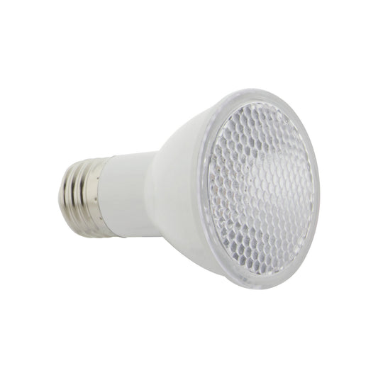 (4-Pack) Light Bulb in Clear