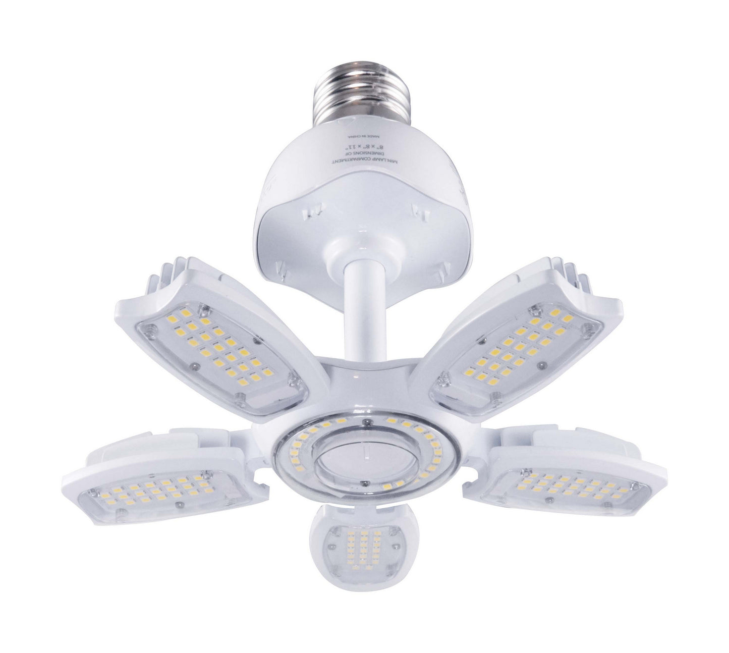 Light Bulb in Clear