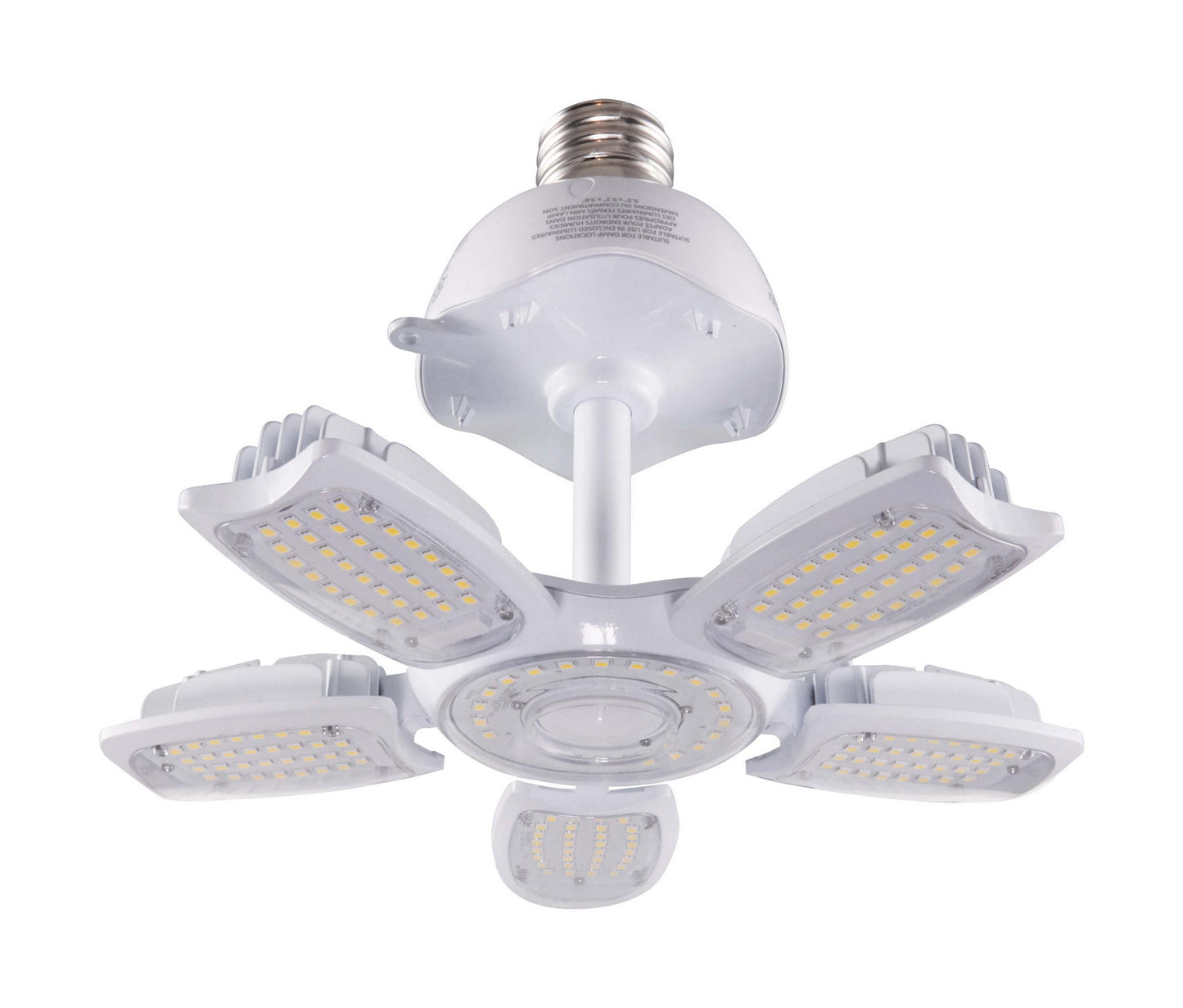 Light Bulb in Clear