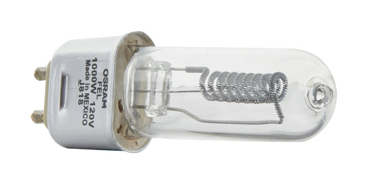 (4-Pack) Light Bulb in Clear