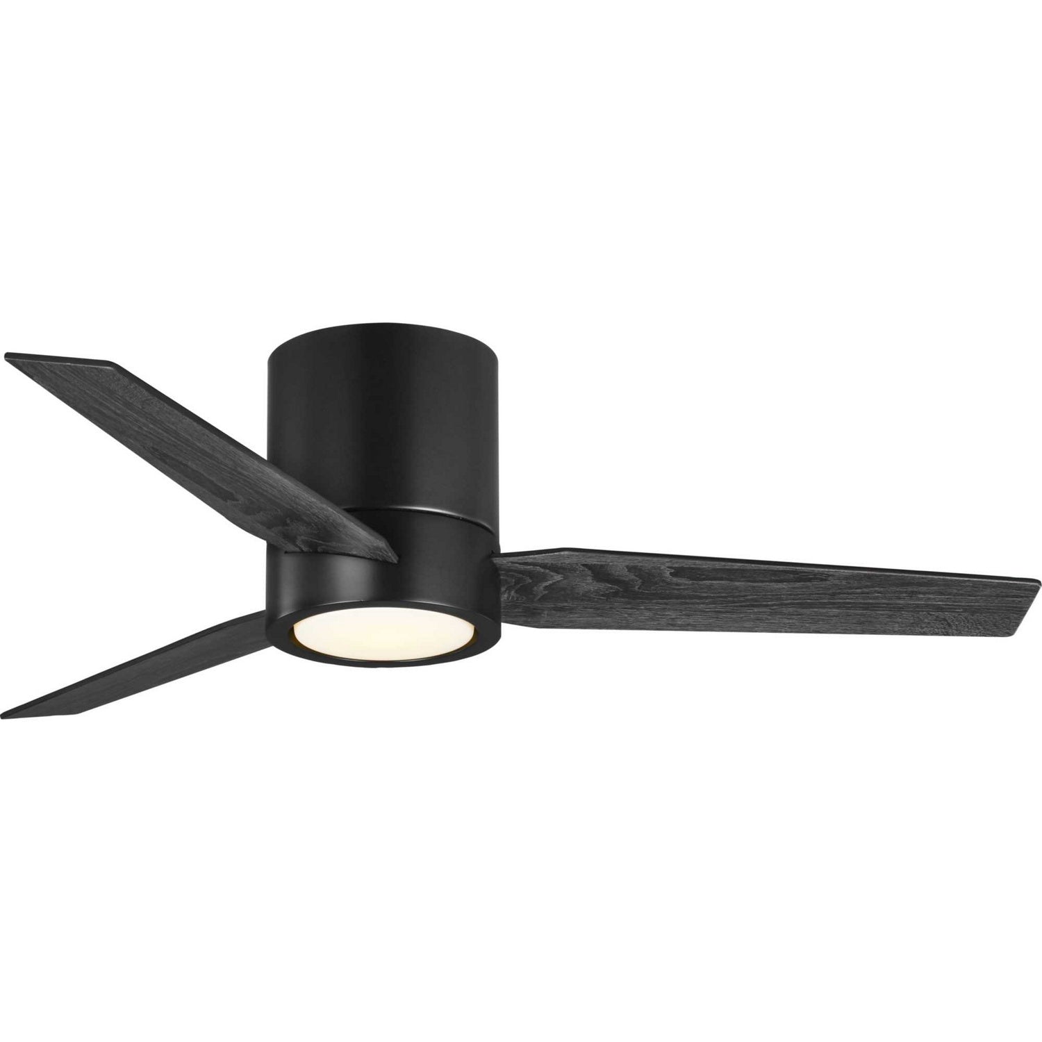 Progress Lighting - P250058-031-30 - 44" Ceiling Fan - Braden - Matte Black
