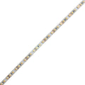 Diode LED - DI-24V-BLBSC2-27-016 - LED Tape Light
