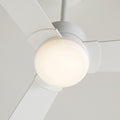Rozzen LED Fan Light Kit in Brushed Steel