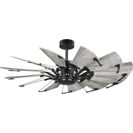 Progress Lighting - P250065-31M - 52" Ceiling Fan - Springer - Matte Black
