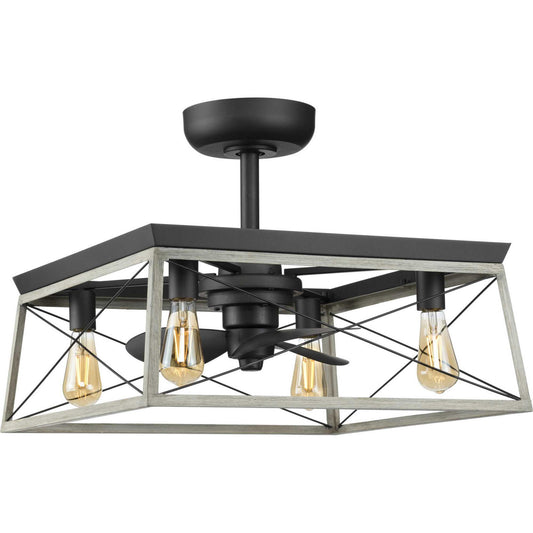 Progress Lighting - P250067-143-WB - 22" Ceiling Fan - Briarwood - Graphite