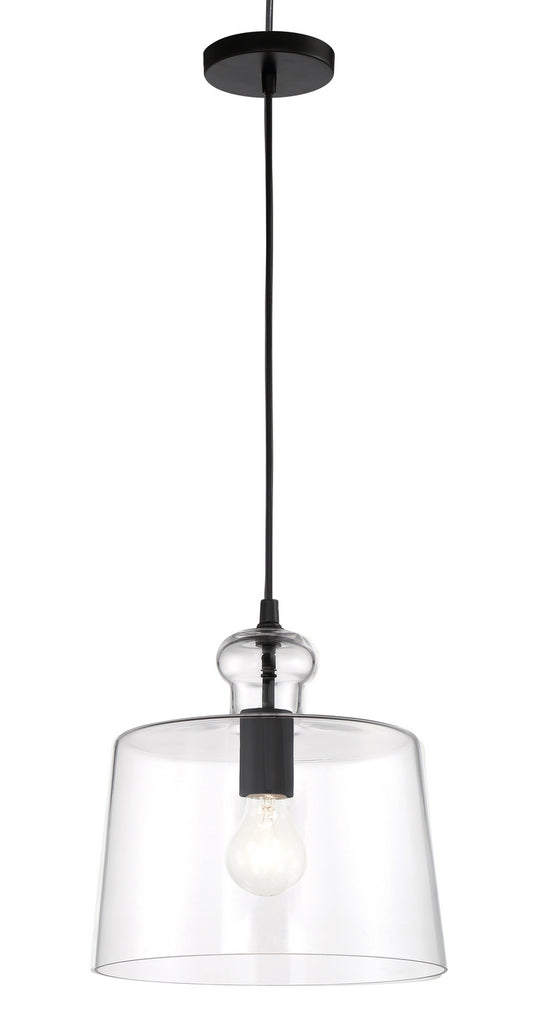 Clarity One Light Pendant in Coal