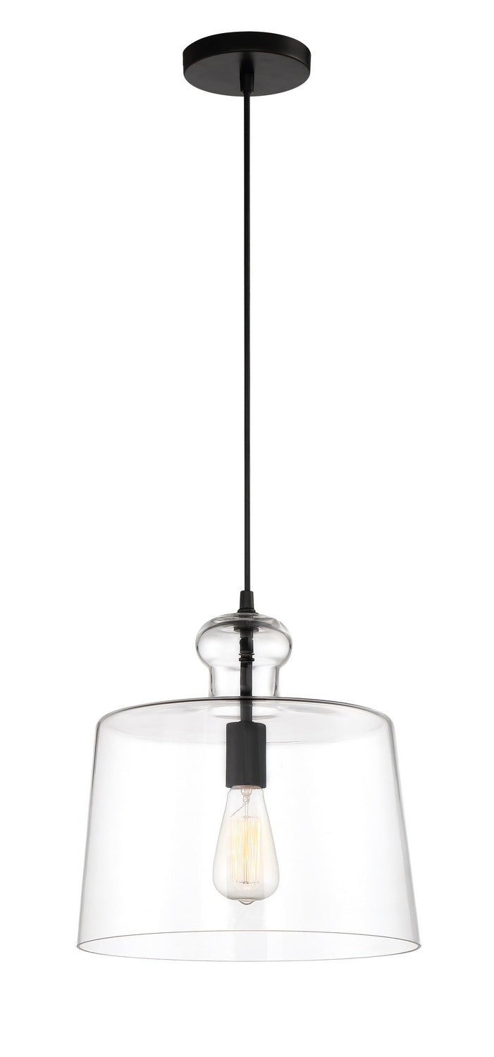 Clarity One Light Pendant in Coal
