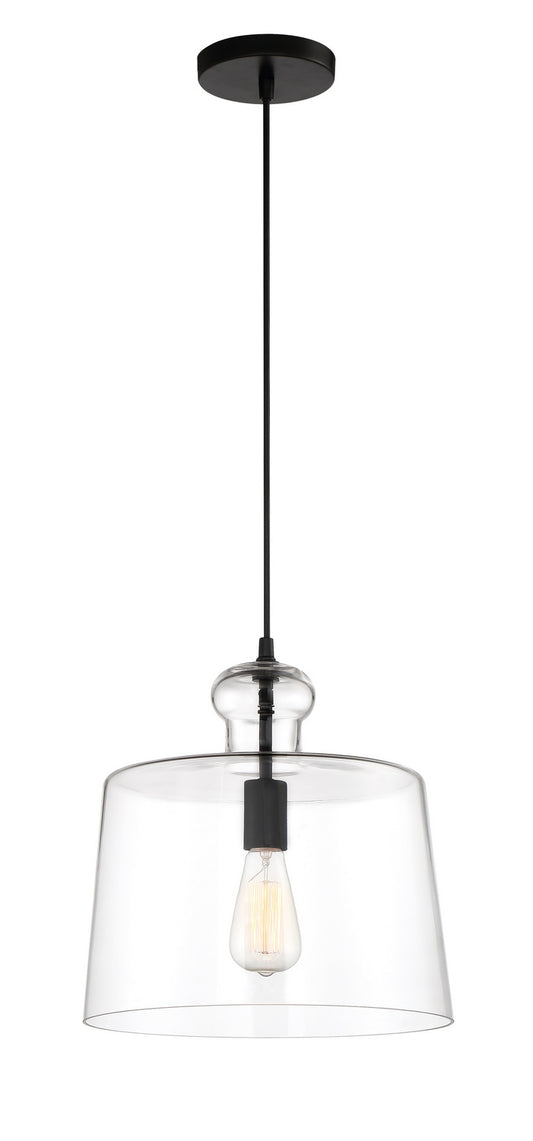Clarity One Light Pendant in Coal