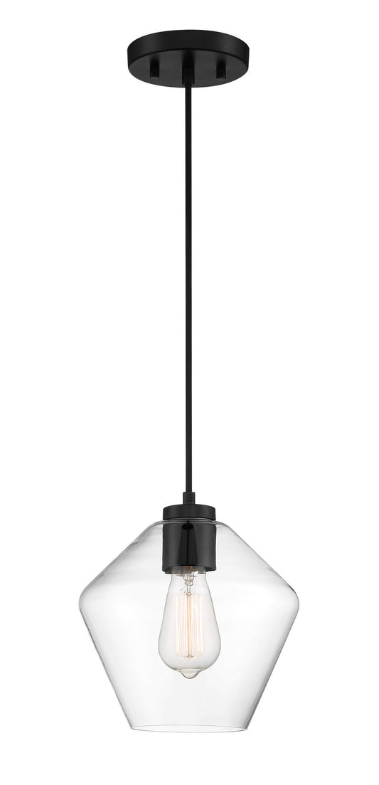 Clarity One Light Pendant in Coal