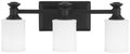 Harbour Point Three Light Vanity in Coal