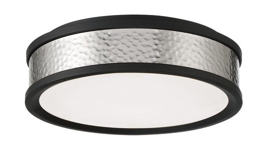 LED Flush Mount in Coal And Brushed Nickel