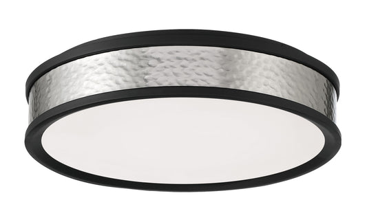 LED Flush Mount in Coal And Brushed Nickel