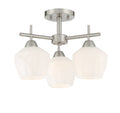 Camrin Three Light Semi Flush / Chandelier in Coal