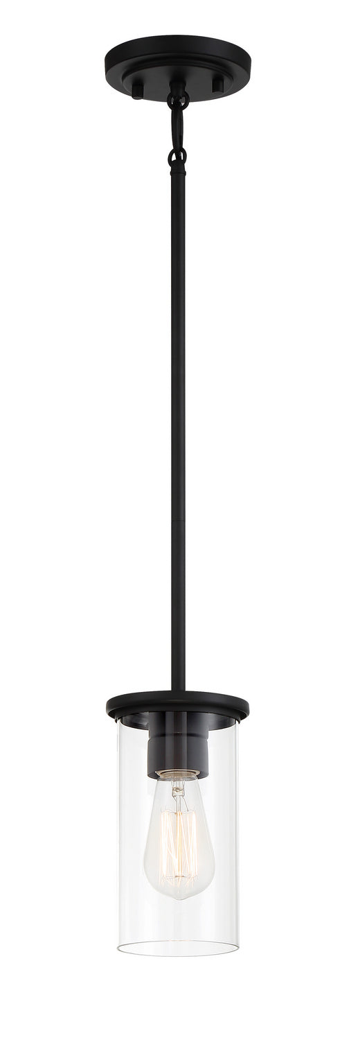 Haisley One Light Pendant / Semi Flush in Coal