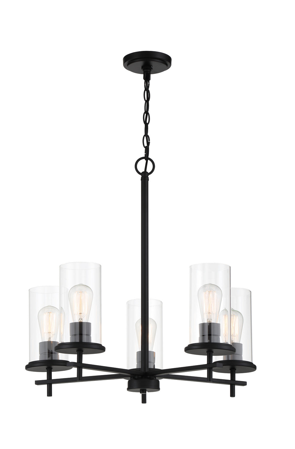 Haisley Five Light Chandelier in Coal