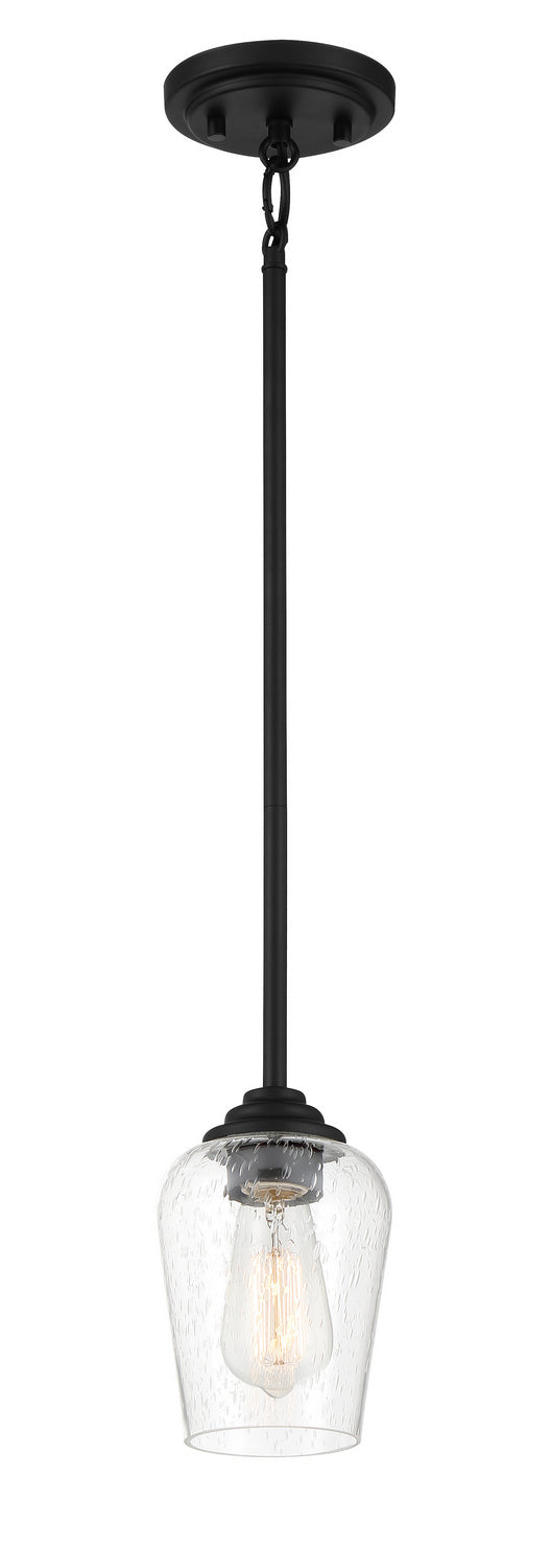 Shyloh One Light Pendant / Semi Flush in Coal