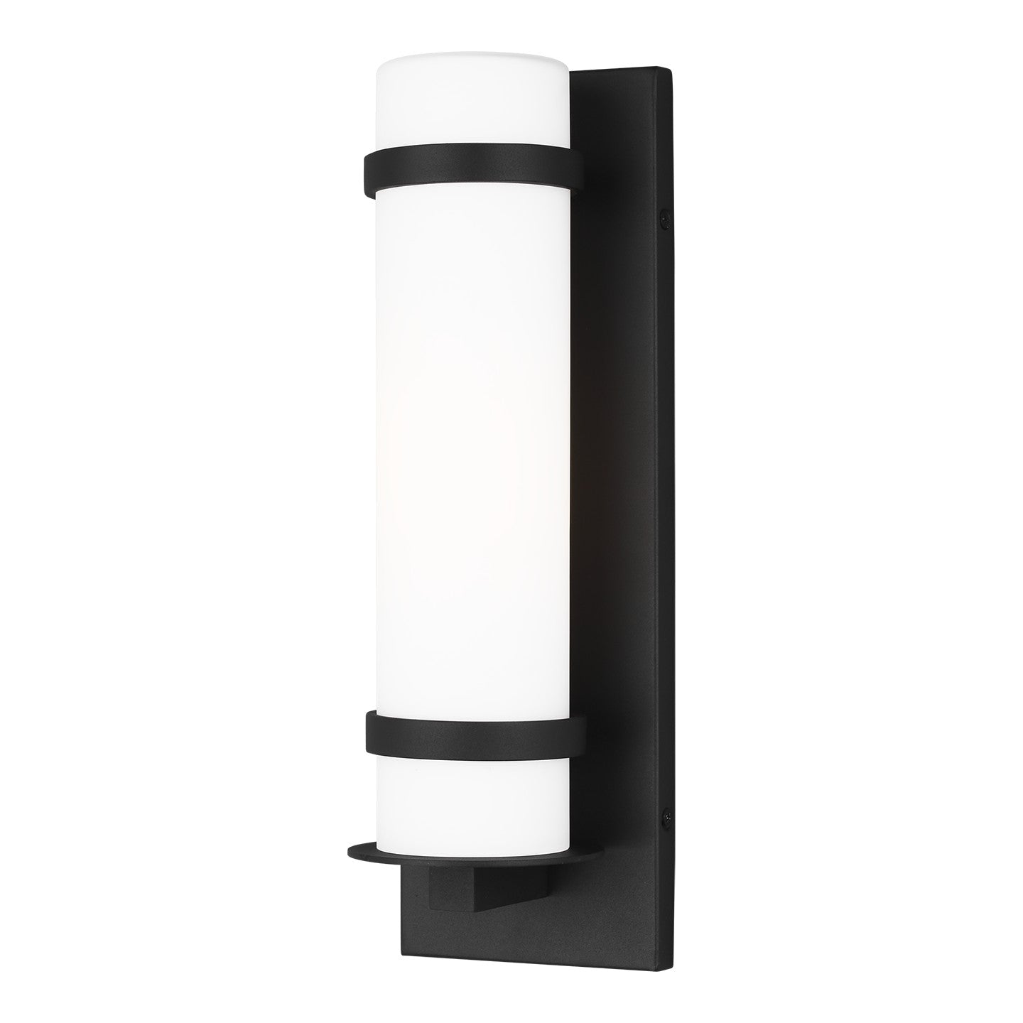 Alban One Light Outdoor Wall Lantern in Black