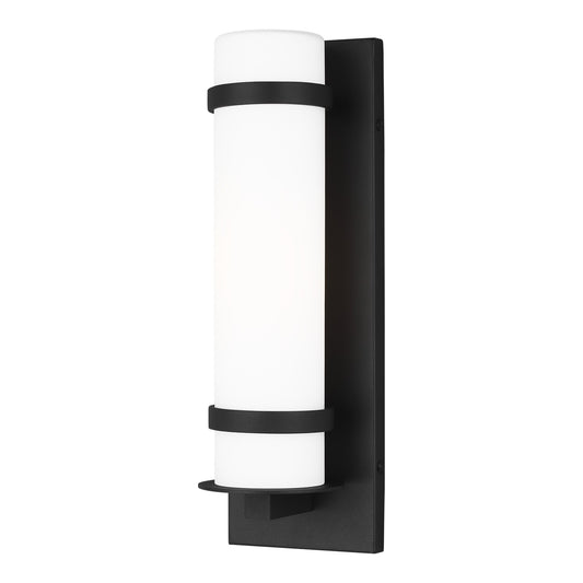Alban One Light Outdoor Wall Lantern in Black