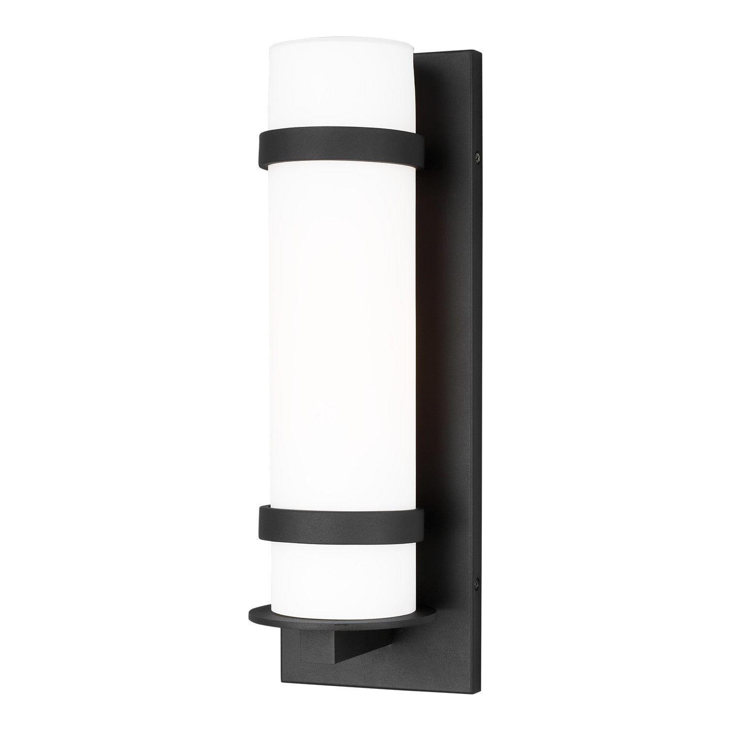 Alban One Light Outdoor Wall Lantern in Black