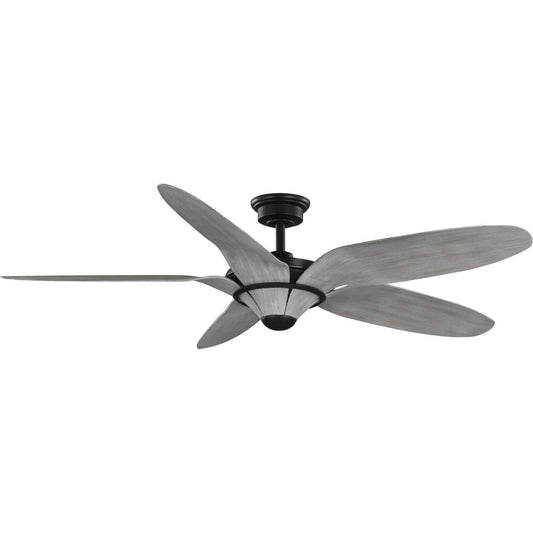 Progress Lighting - P250073-182 - 60" Ceiling Fan - Mesilla - Flat Black