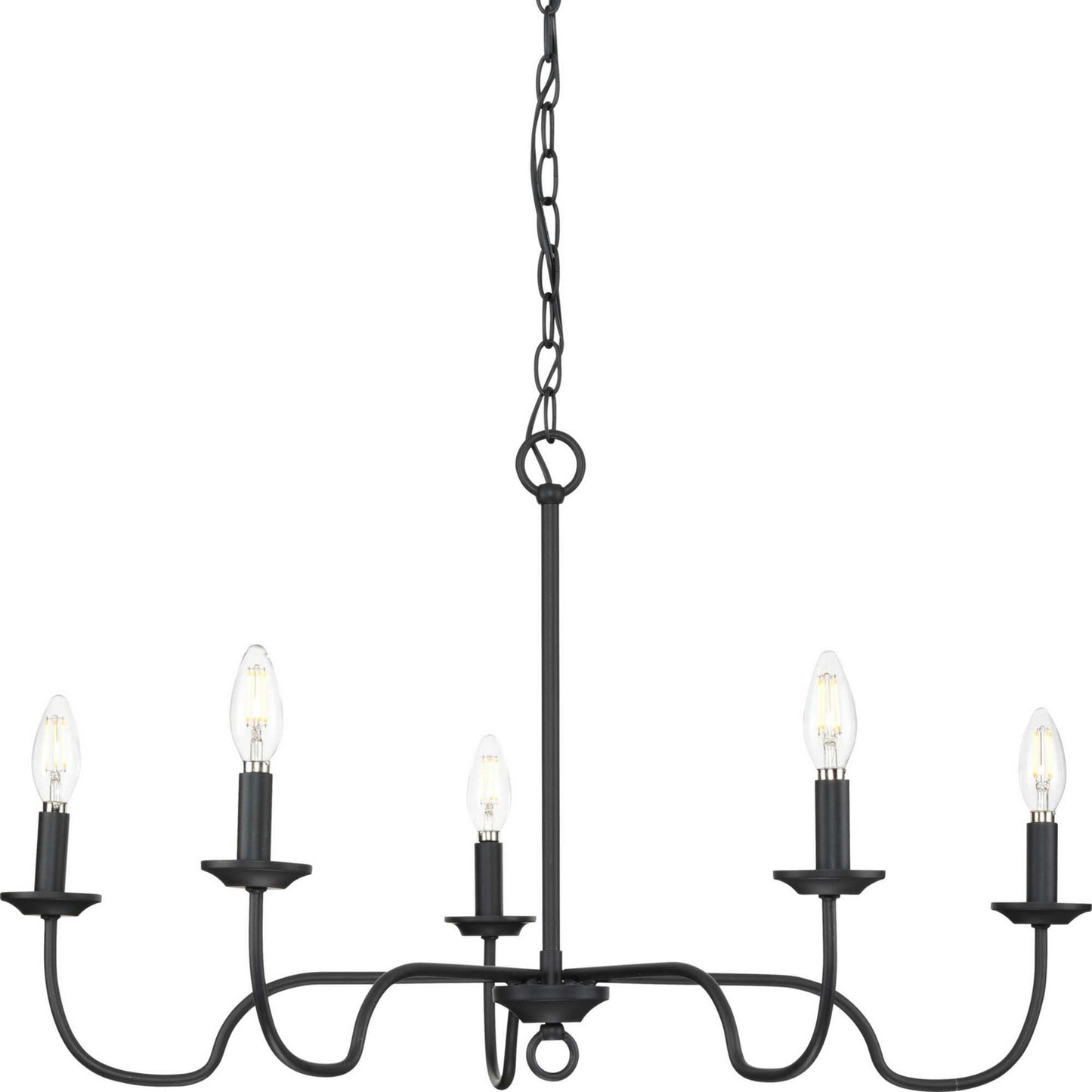 Canebrake Five Light Chandelier in Matte Black
