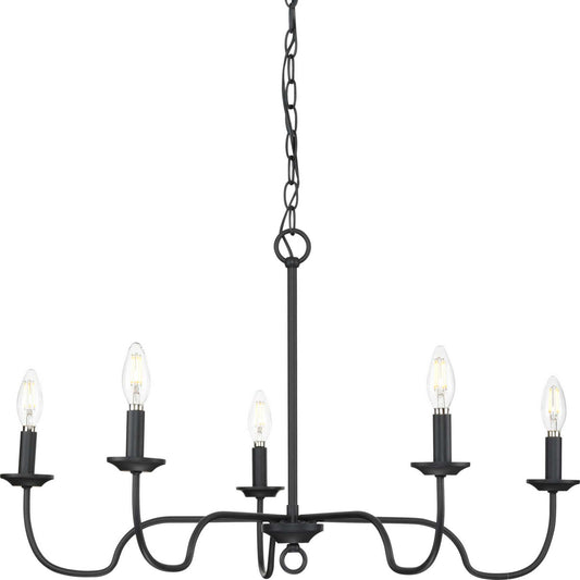 Canebrake Five Light Chandelier in Matte Black
