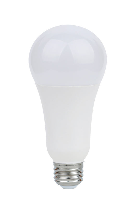 (4-Pack) Light Bulb in Frost