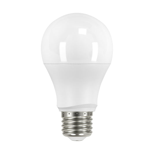 (4-Pack) Light Bulb in Frost