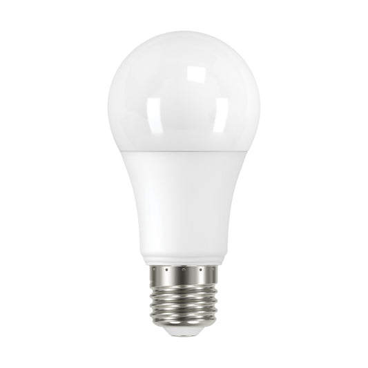 (4-Pack) Light Bulb in Frost