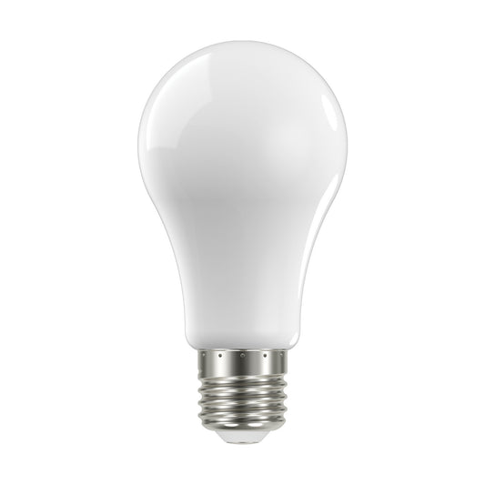 (4-Pack) Light Bulb in Soft White