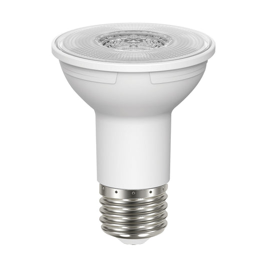 (4-Pack) Light Bulb in Clear