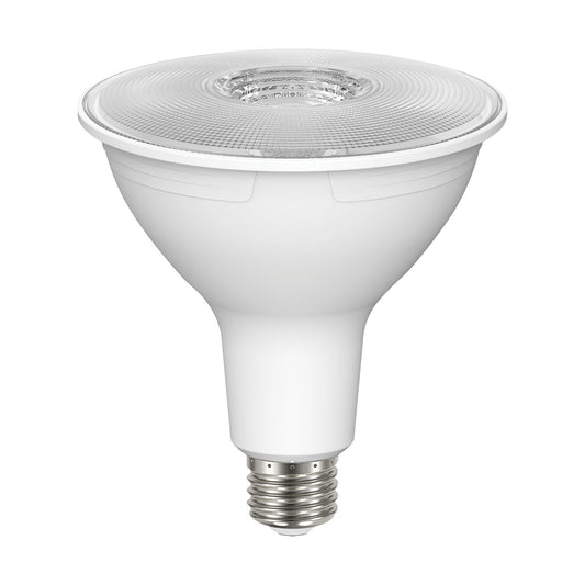 (4-Pack) Light Bulb in Clear