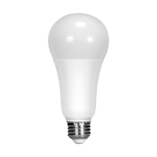(4-Pack) Light Bulb in Frost