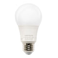 Light Bulb in White