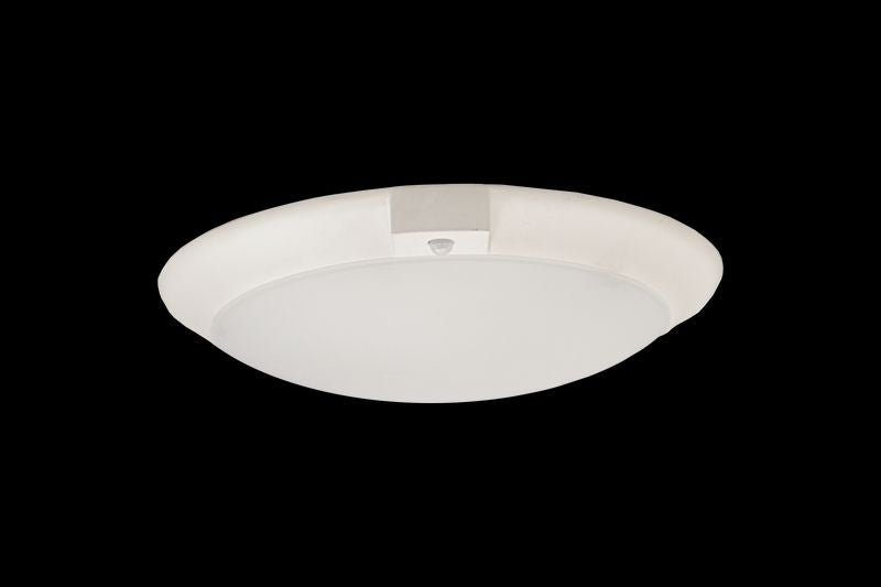 Disk in White