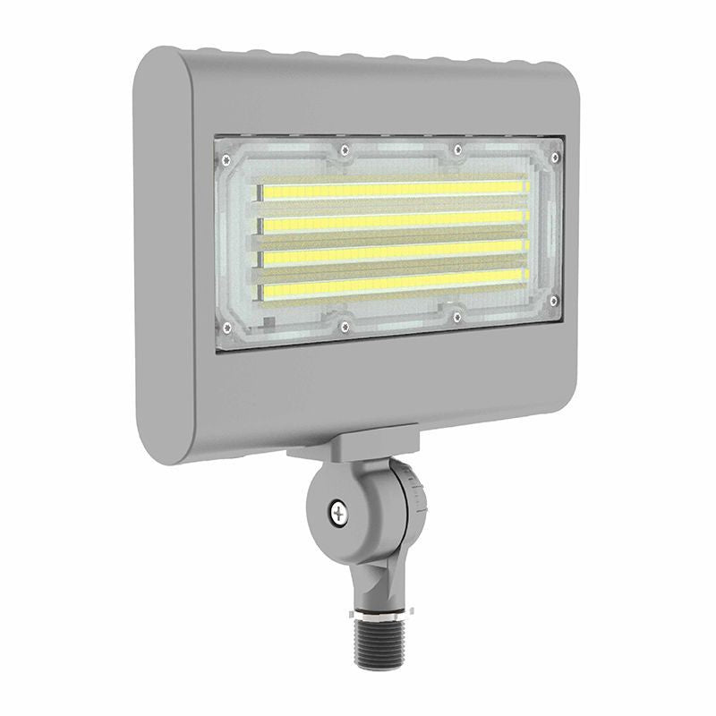 Flood-Area Ligh in Silver