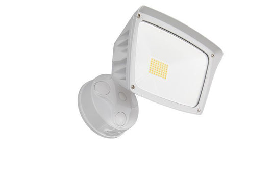 LED Security Light in White