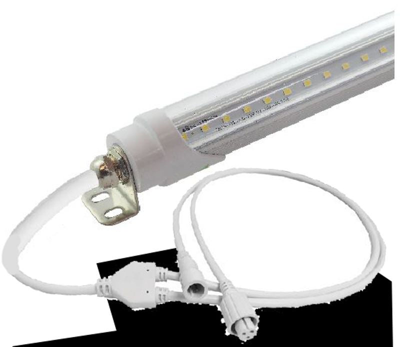 Light Bulb in Clear