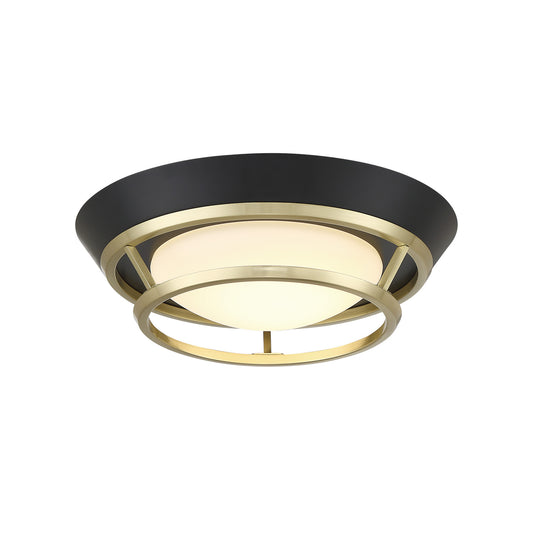 Beam Me Up! LED Flush Mount in Coal And Satin Brass