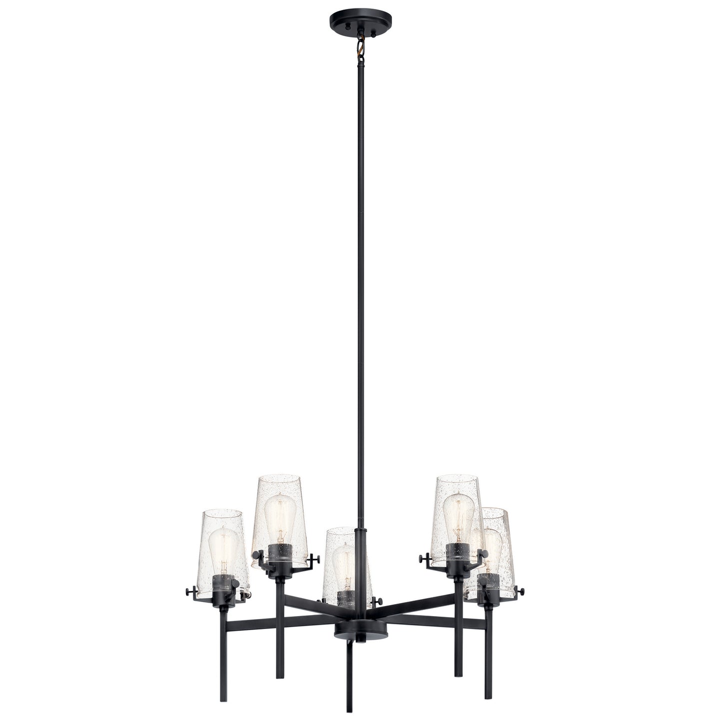 Alton Five Light Chandelier in Black