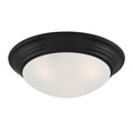 Tap Two Light Flush Mount in Matte Black