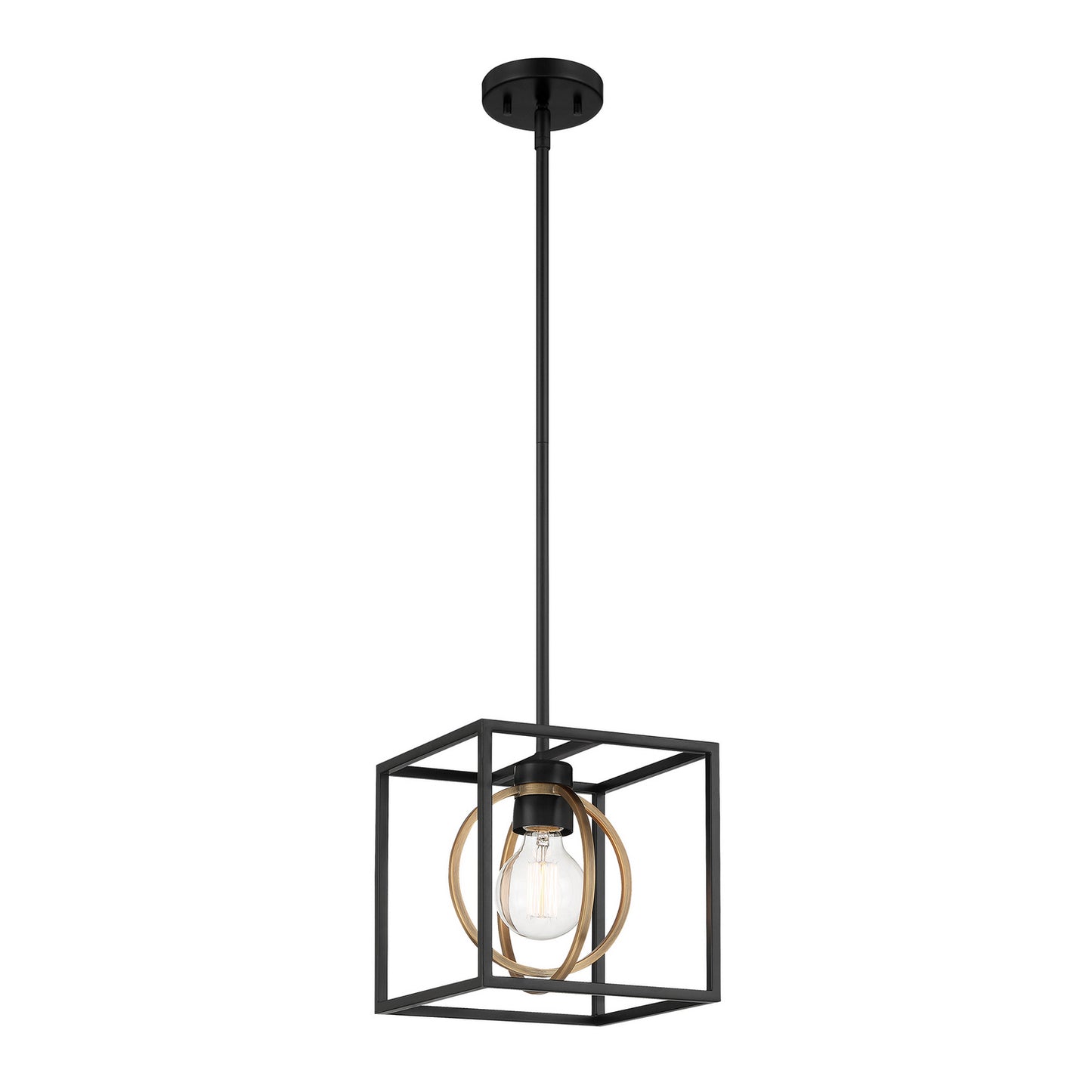 Kew Gardens One Light Pendant Convertible in Matte Black