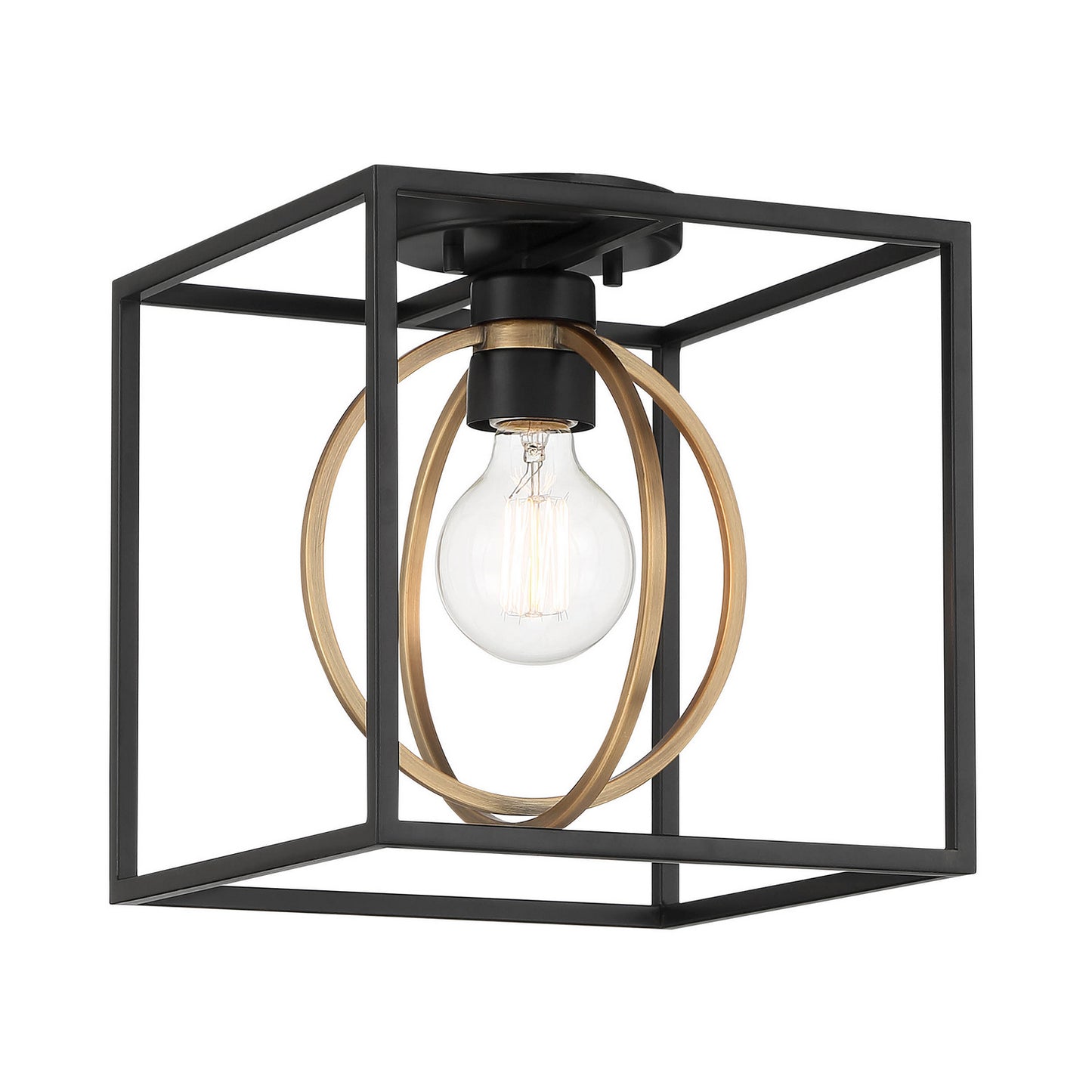 Kew Gardens One Light Semi Flush Mount in Matte Black