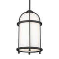 Topiary One Light Pendant in Textured Black