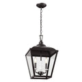 Dame Two Light Pendant in Anvil Iron