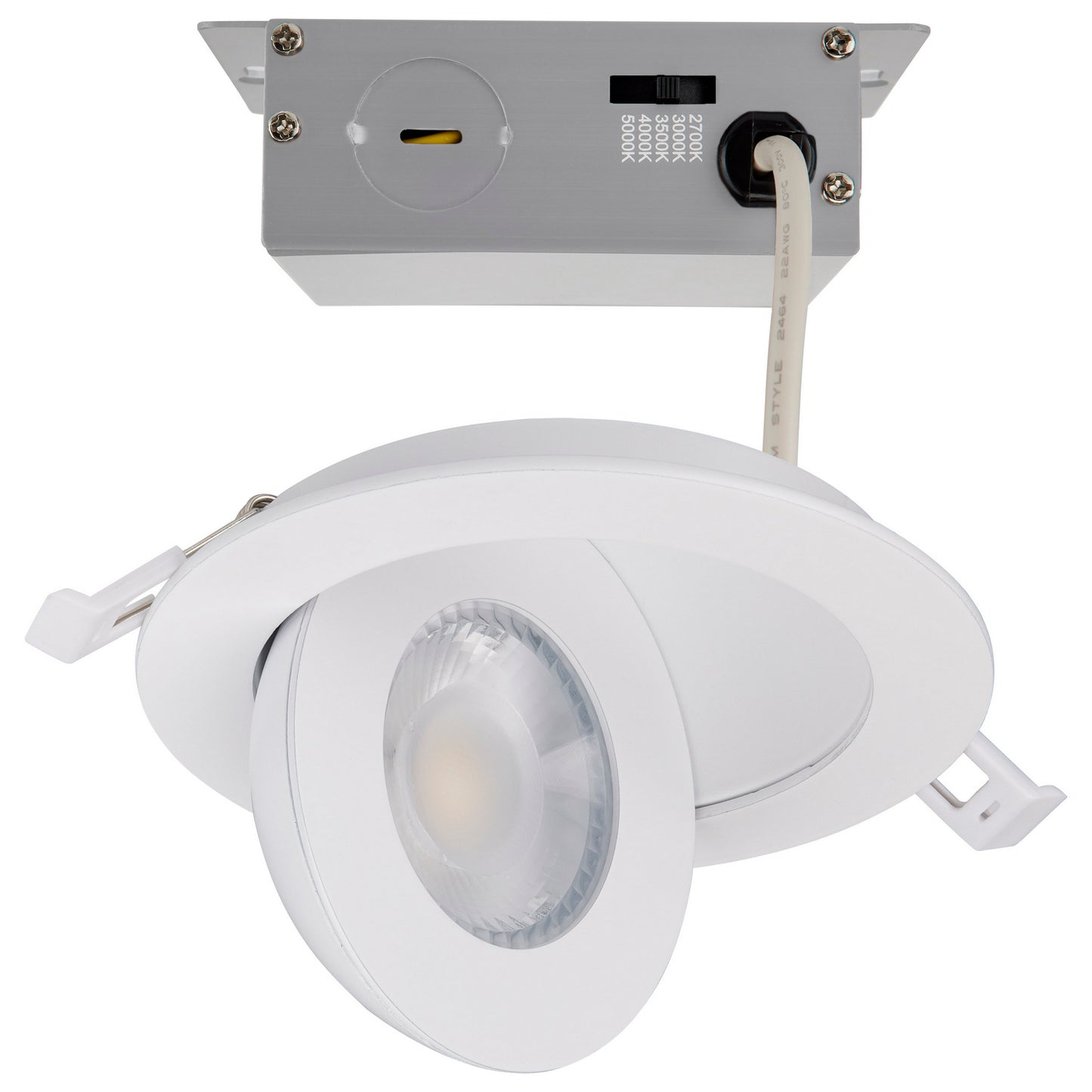 LED Downlight in White