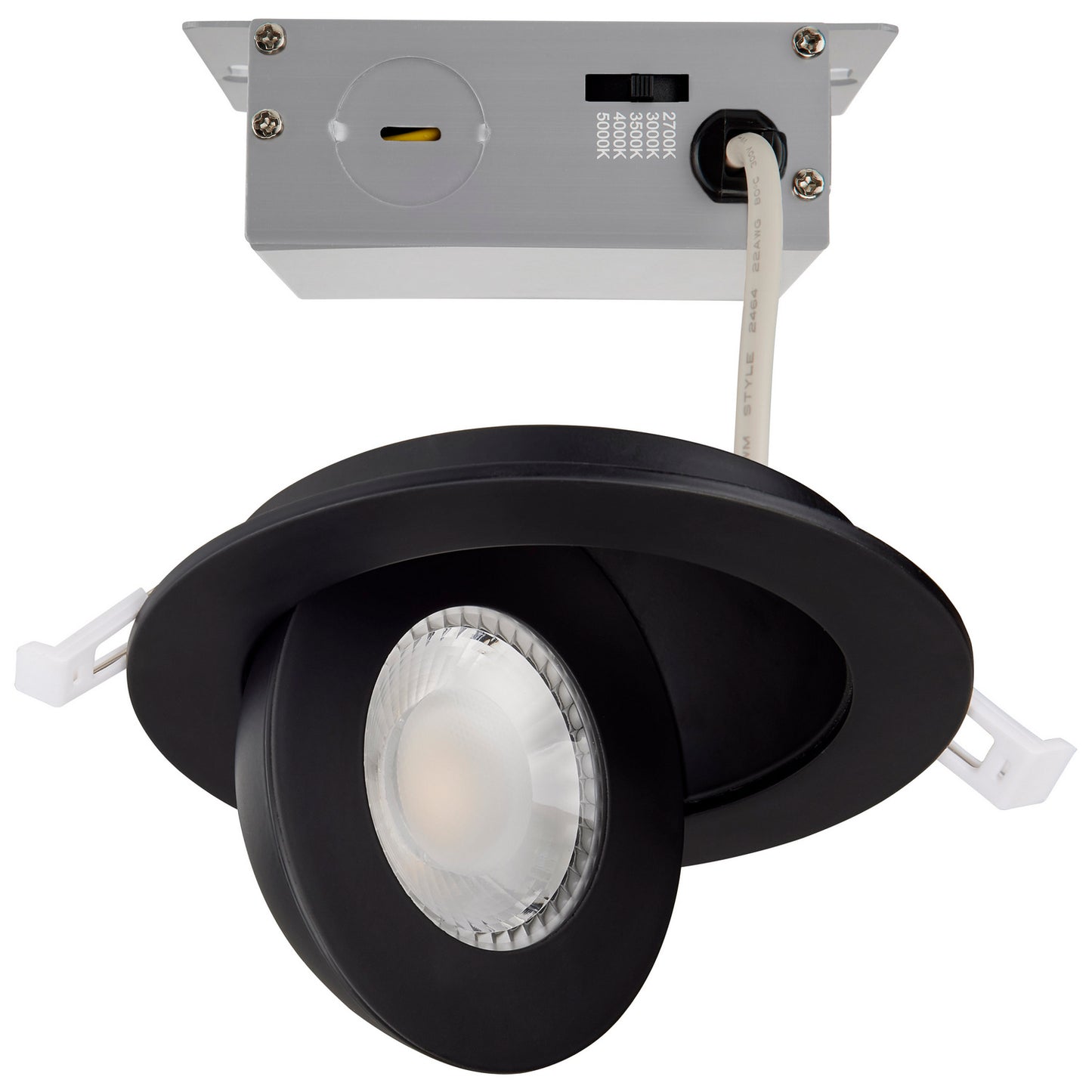 LED Downlight in Black