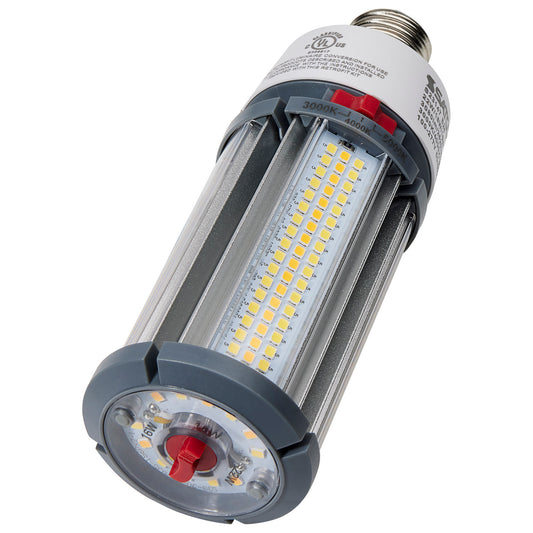 (4-Pack) Light Bulb in White