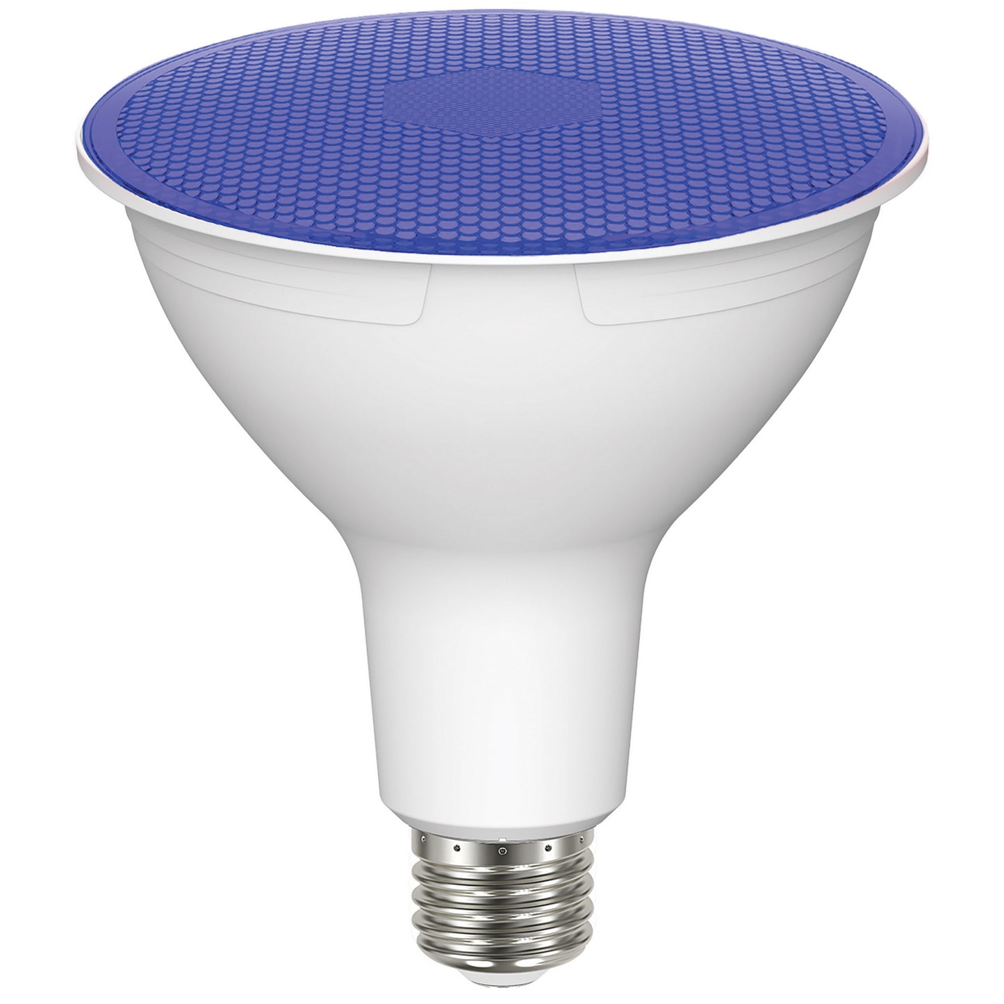 (4-Pack) Light Bulb in Blue